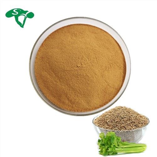 Celery Seed Extract Powder